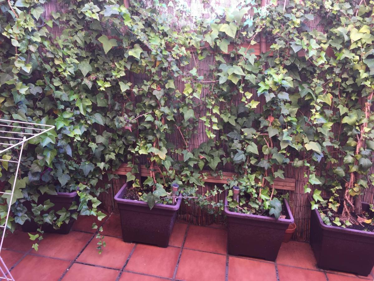 Bonito Piso Centro De Boliches Apartamento *
